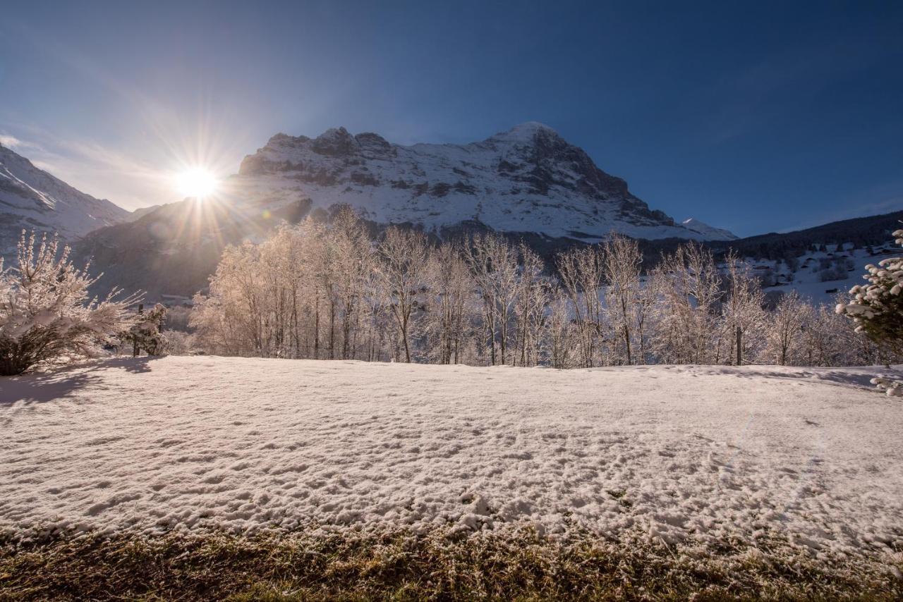Billabong Apartment Grindelwald Exterior photo